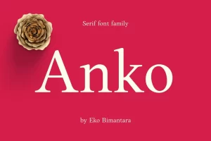 Anko Font
