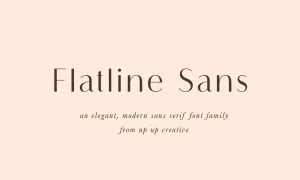 Flatline Sans Font